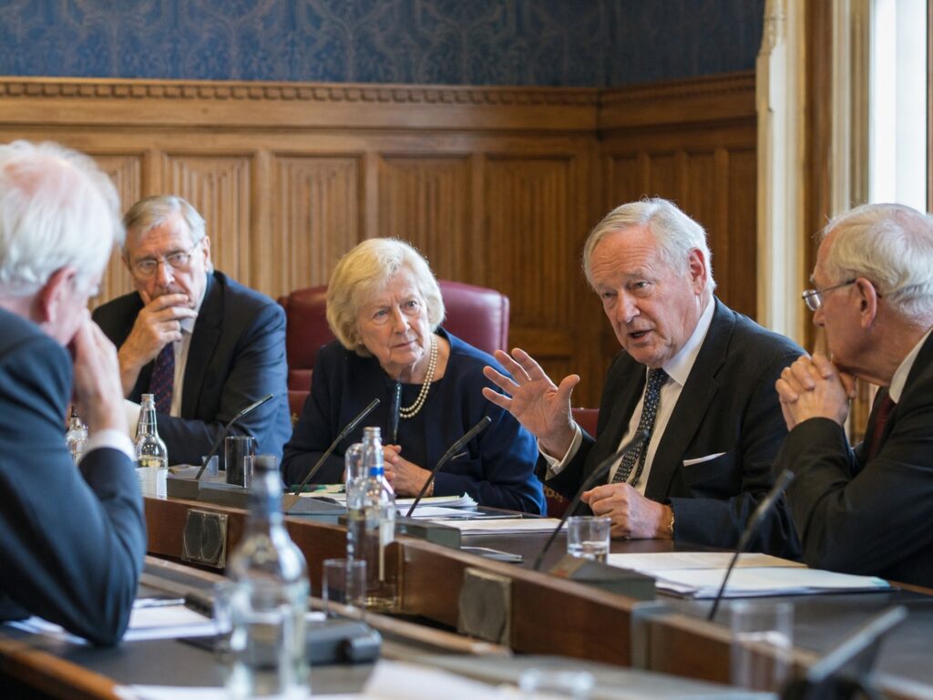 Do Peers have Human Rights?